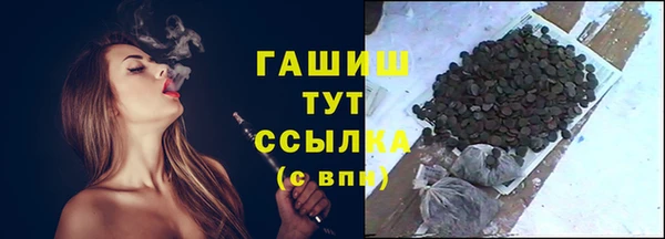 гашик Мегион