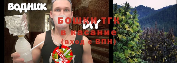 гашик Мегион