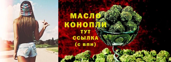 гашик Мегион