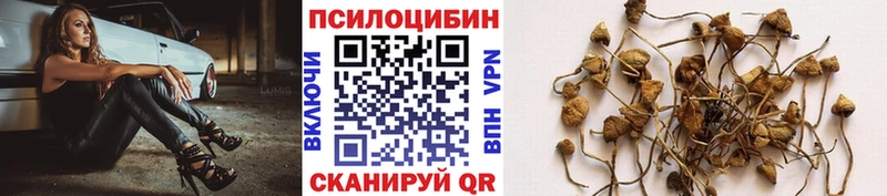 Галлюциногенные грибы прущие грибы  магазин продажи наркотиков  Заречный 