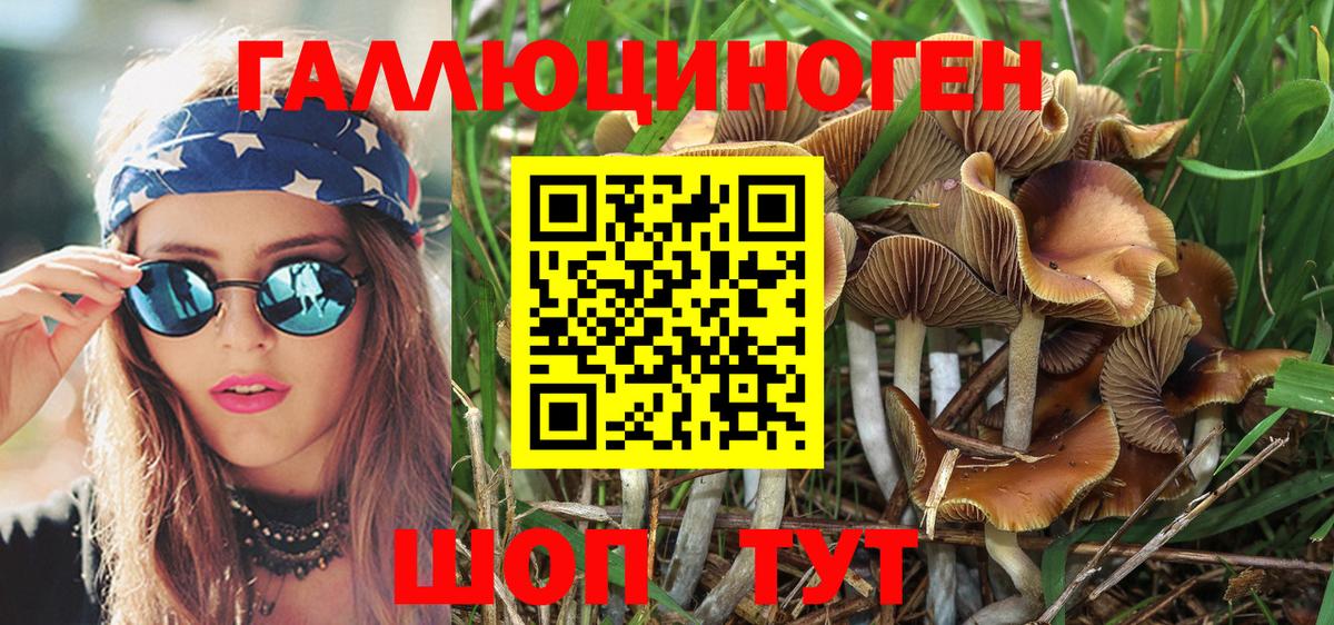 А ПВП Заречный