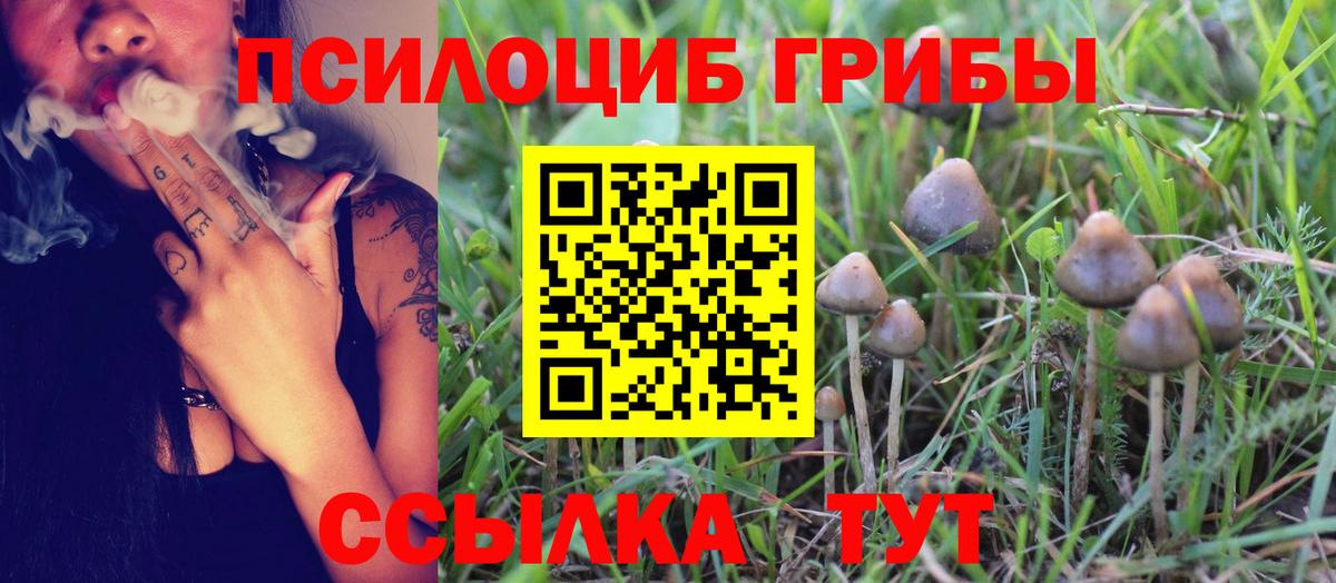 купить  сайты  Заречный  Псилоцибиновые грибы прущие грибы 